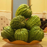 Huading No.5 Hybrid Bitter Gourd Seeds, Spring/Autumn Planting Bitter Gourd, Well-balanced Bitterness, High Adaptability
