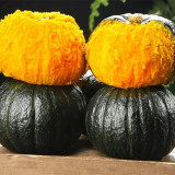 Dongxiang Mini Pumpkin Seeds, F1 Hybrid Mini Pumpkin, Early Maturing, Sweet Yellow Flesh, Ideal for Small Gardens