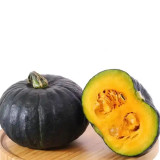 Dongxiang Mini Pumpkin Seeds, F1 Hybrid Mini Pumpkin, Early Maturing, Sweet Yellow Flesh, Ideal for Small Gardens