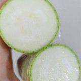 Baipangwa White Luffa Seeds, Hybrid Luffa Seeds, Early Maturing, Smooth Skin, Tender Firm Flesh