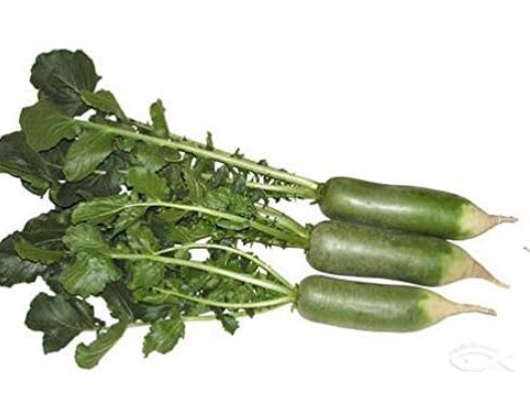 Green Paper Fruit Radish Seeds Fruits and Vegetable