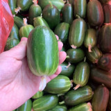 Jintong & Yunü Mini Cucumber Seeds, Dual-Color Mini Cucumber Seeds, Ultra-Small, Early-Maturing, High Yield
