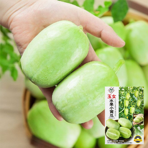 Yunü Mini Fruit Cucumber Seeds, White Mini Cucumber, Ultra-Small White Fruit, Sweet & Spineless