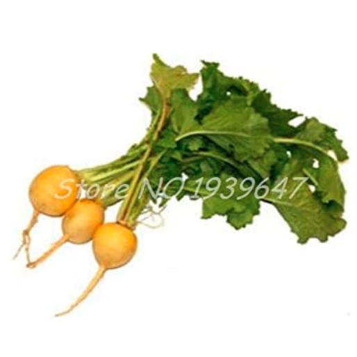 Beet Organic Vegetable Non-GMO Heirloom Sugar Beetroot Bonsai (Color: 6)