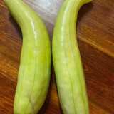 Green-veined Oriental Pickling Melon Seeds - Crisp Bai Gua Variety, High Yield, Thick Flesh, High Edibility
