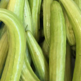 Green-veined Oriental Pickling Melon Seeds - Crisp Bai Gua Variety, High Yield, Thick Flesh, High Edibility