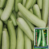 Ketian White-Veined White Melon Seeds, Premium White Melon Seeds, Disease-Resistant, High-Yield