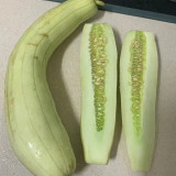 Ketian White-Veined White Melon Seeds, Premium White Melon Seeds, Disease-Resistant, High-Yield