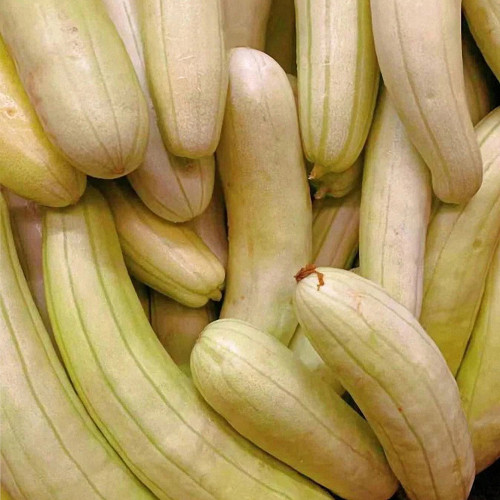 Ketian White-Veined White Melon Seeds, Premium White Melon Seeds, Disease-Resistant, High-Yield