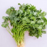 Authentic Shandong Coriander Seeds, Cold/Heat/Drought Resistant, Fast-Growing Herb, Strong Flavor & High Adaptability