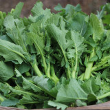 Lvyou No.12 Youcaitai Seeds, Hybrid Seeds, Heat-Tolerant, High-Yield, Open Field/Protected Cultivation