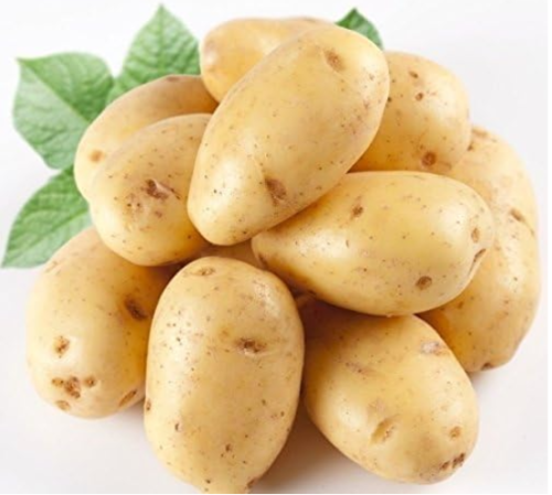 Potato Seeds Yukon Gold Flavorful Yellow-skinned and Yellow-fleshed Potatoes