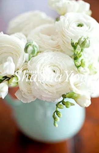 Rare Ranunculus Asiaticus Seed DIY Plants Easy to Grow Flower