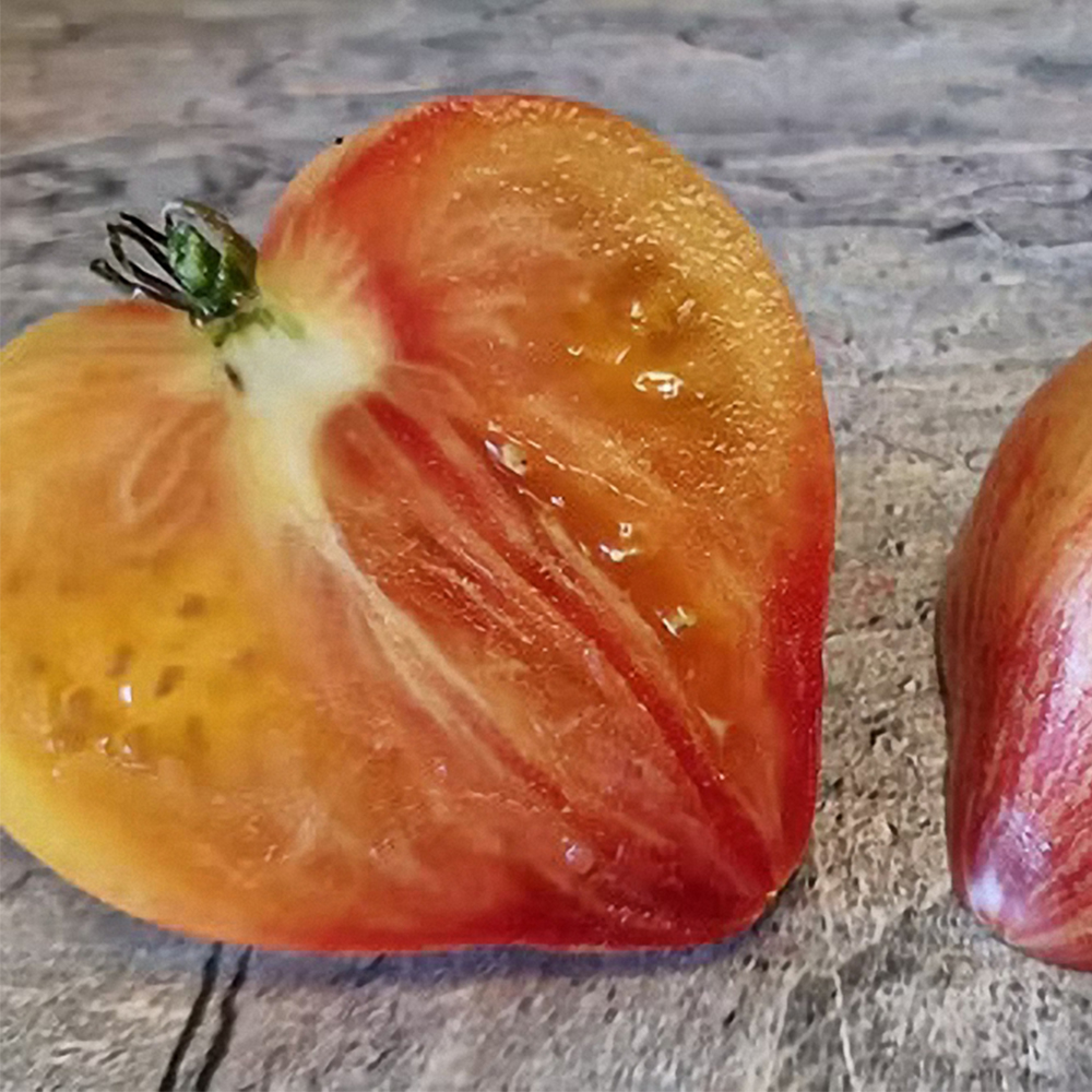 tomato Tomato, Jasper Hybrid, Cherry/Grape Tomato Seeds: Totally