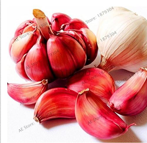Garlic Flores Natural and Organic Vegetable Seeds for Garden