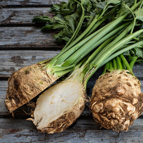 Celeriac 'Giant Prague' Seeds - Cold-Hardy Biennial, Nutritious Root Vegetable, Edible Taproot & Leaves