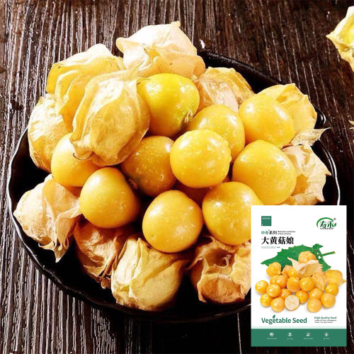 Ground Cherry Seeds - Physalis Pruinosa, Sweet Golden Berry, High Yield, Easy Grow