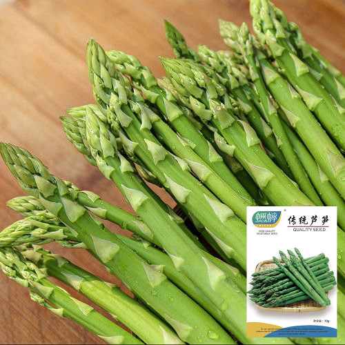 Green Asparagus Seeds - Nutrient Rich, High Fiber, Crisp Tender Shoots, Perennial Cold & Heat Resistant for Home Gardens