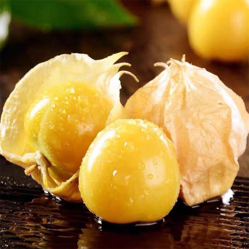 Ground Cherry Seeds - Physalis Pruinosa, Sweet Golden Berry, High Yield, Easy Grow