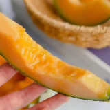 Maiour Melon Hybird F1 Seeds - High Sugar 15-17 Brix, Thick Red-Orange Flesh, Compact Plant, Easy to Grow