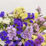 Wavyleaf Sea Lavender Seeds - Colorful Everlasting Flowers for Gardens, Cut & Dried Flower Variety