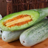 Horn Honey Melon Seeds - Slender Grey-Green Fruit with Light Green Flesh, Superb Flavor