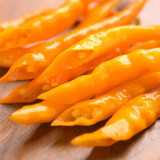 'Yellow La Mei' Long Chili Pepper Seeds - Vigorous Plants, Bright Yellow, Medium Spicy, High Adaptability