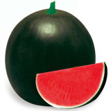 'Obsidian Sweet' Black Seedless Watermelon Seeds - Jet-Black Rind, Red Flesh
