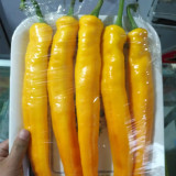 Golden Fragrant Horn Pepper Seeds: Golden Yellow & Mildly Spicy, F1 Hybrid, Vigorous Grower, Premium Quality.