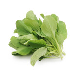 Tender Baby Bok Choy Seeds - Easy Grow Heat & Moisture Tolerant Greens for Home Garden