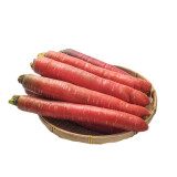 'Beauty Finger' Carrot Seeds - Sweet, Crisp, Rich In Beta-Carotene, Excellent Storage
