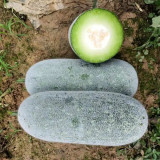 Mini Small Winter Melon No.1 Seeds - Hybrid, High Yield, Early-Maturing, Disease Resistant, Dual-Harvest