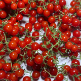 Red Currant Tomato Seeds - High-Yielding, Sweet Fruit, Easy to Grow