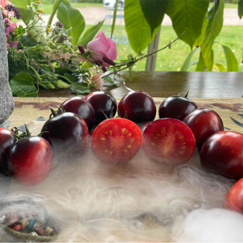 'Fairy Tale Sparkle' Tomato Seeds - Deep Black Red Exterior with Sweet Juicy Flavor for Garden
