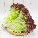 Red Leaf Romaine Lettuce Seeds - Crisp, Upright Growth, Fiber-Free, Ideal for Salads