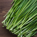Fine-Leaf Snow Leek Seeds - Cold-Hardy Snow Leek with Upright Growth, Tender & Flavorful for Cooking