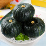 Zhongbei No.2 Pumpkin Seeds - High-Yield, Early-Maturing, and Easy to Grow
