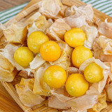 Groundcherry Seeds - F1 Hybrid, High-Yield, Disease Resistant, Long Harvest, Sweet Flavor, Easy to Grow
