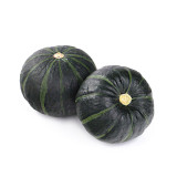 'Li Mei No. 1' Baby Pumpkin Seeds - High-Yielding, Thick-Fleshed, and Sweet