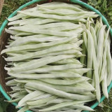 Bai Fumei Pole Bean Seeds - High-Yielding with Sweet, Crisp, and Tender Pods