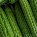 Jiemei 13 Bitter Gourd Seeds - Vigorous Growth, Continuous Harvest, Disease Resistant