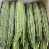 Jiemei Speckled Ridge Gourd Seeds - High-Yield, Disease-Resistant, and Easy to Grow