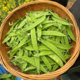 'Cuibao 616' Snow Pea Seeds - Early-Maturing Dwarf Variety, Compact & High-Yield, High Stress Tolerance