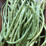 'Zhuzai' Thick-fleshed Sweet Long Bean Seeds - Crisp Pods, Strong Disease Resistance, High-Yield Variety