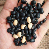 Black Cowpea Seeds - Nutrient-Rich, Easy-to-Grow Heirloom Variety for Sustainable Gardening