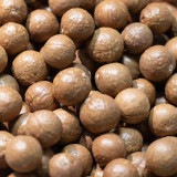 Macadamia Nut Seeds - Premium High-Yield Variety, Sustainable Cultivation, Rich Aroma, Versatile Uses