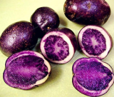Purple Potato Seed Purple Sweet Potato Nutrition Green Vegetable