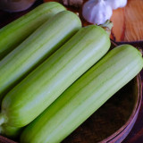 White Jade No.1 Luffa Seeds - Hybrid Variety, Stable Yield, Highly Adaptable, Top Choice for Home Gardening