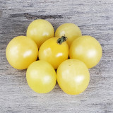 Italian Ice Cherry Tomato Seeds – F1 Hybrid, Early Maturing, Indeterminate, Juicy Flesh, Sweet Taste