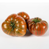Big Cheef Steak Tomato Seeds - Premium Beefsteak Tomato with Meaty Flesh, Rich Flavor, and High Yield